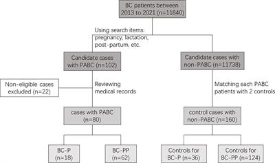 Frontiers Clinicopathologic features treatment and prognosis